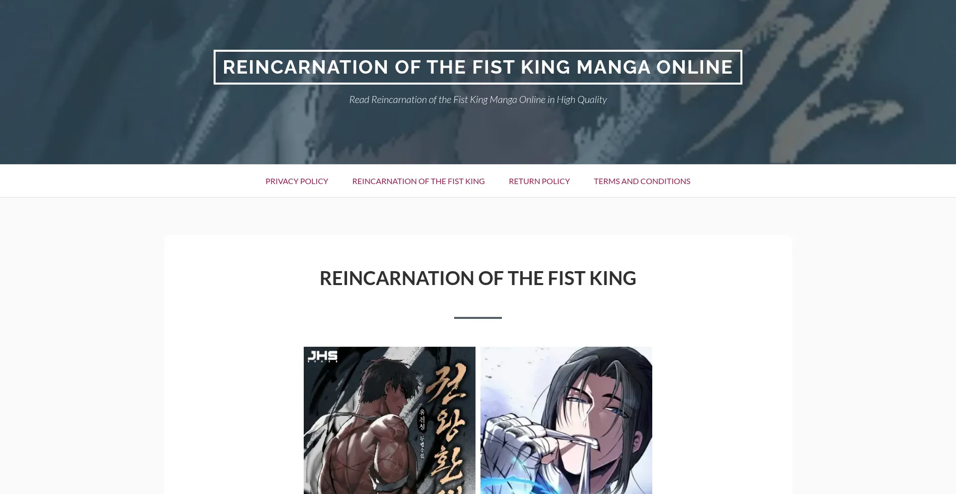Website screenshot of Reincarnationofthefistking.com