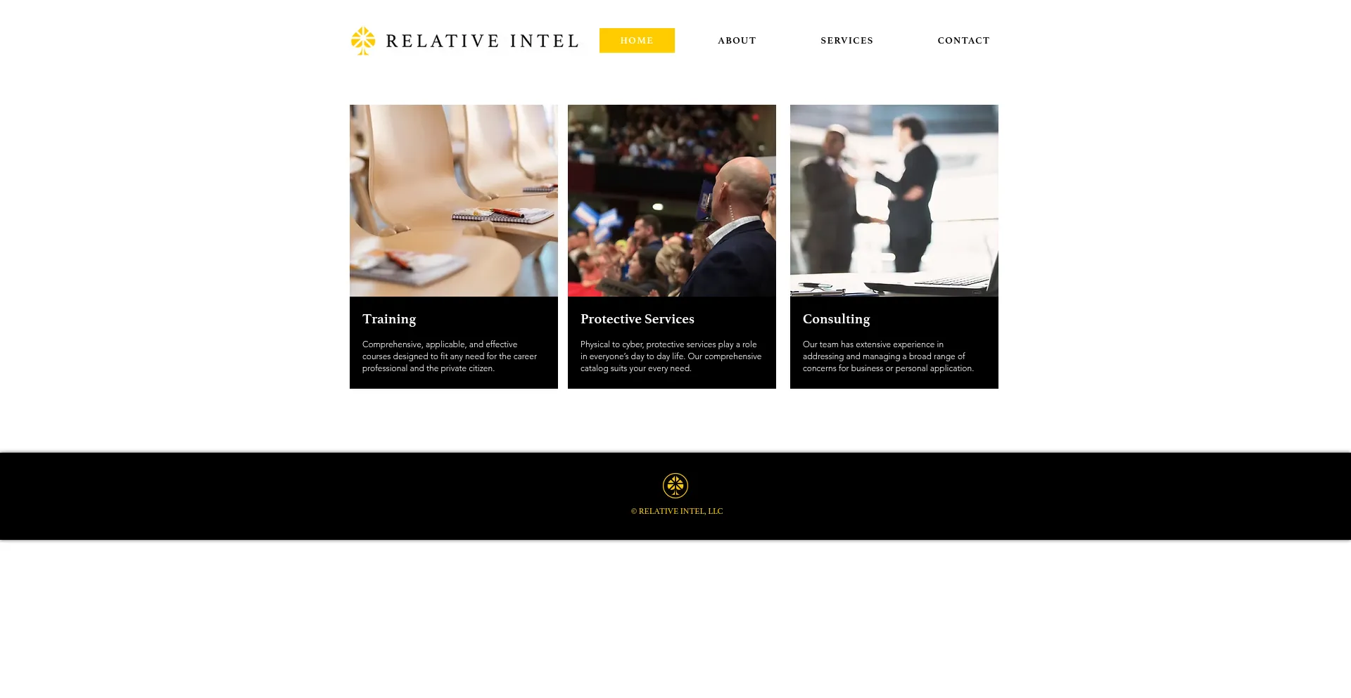 Website screenshot of Relativeintel.com