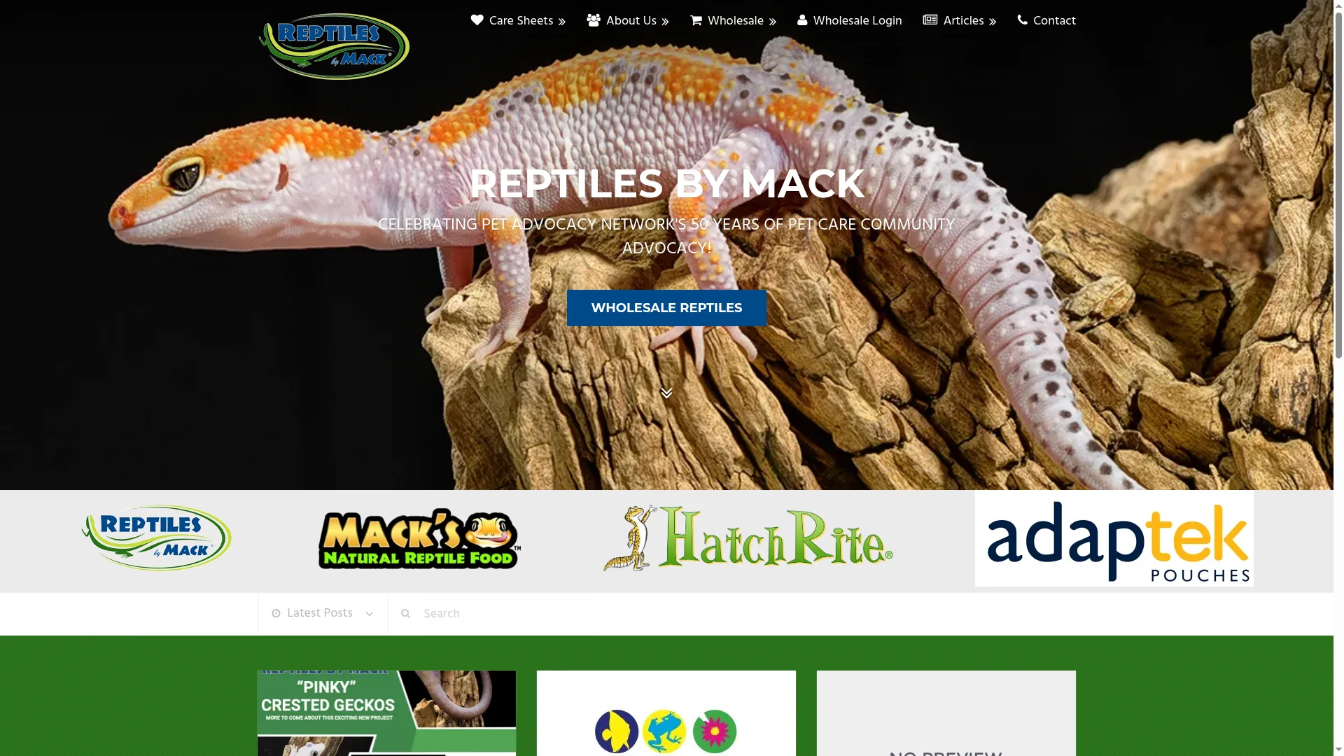 Reptilesbymack.com