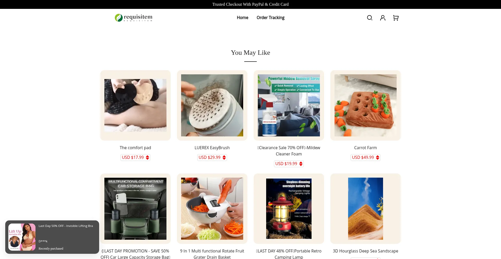 Website screenshot of Requisitem.com
