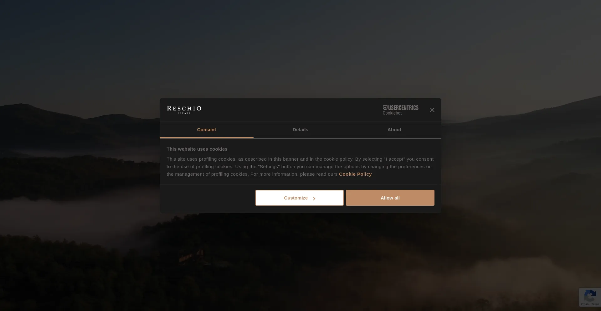 Website screenshot of Reschio.com