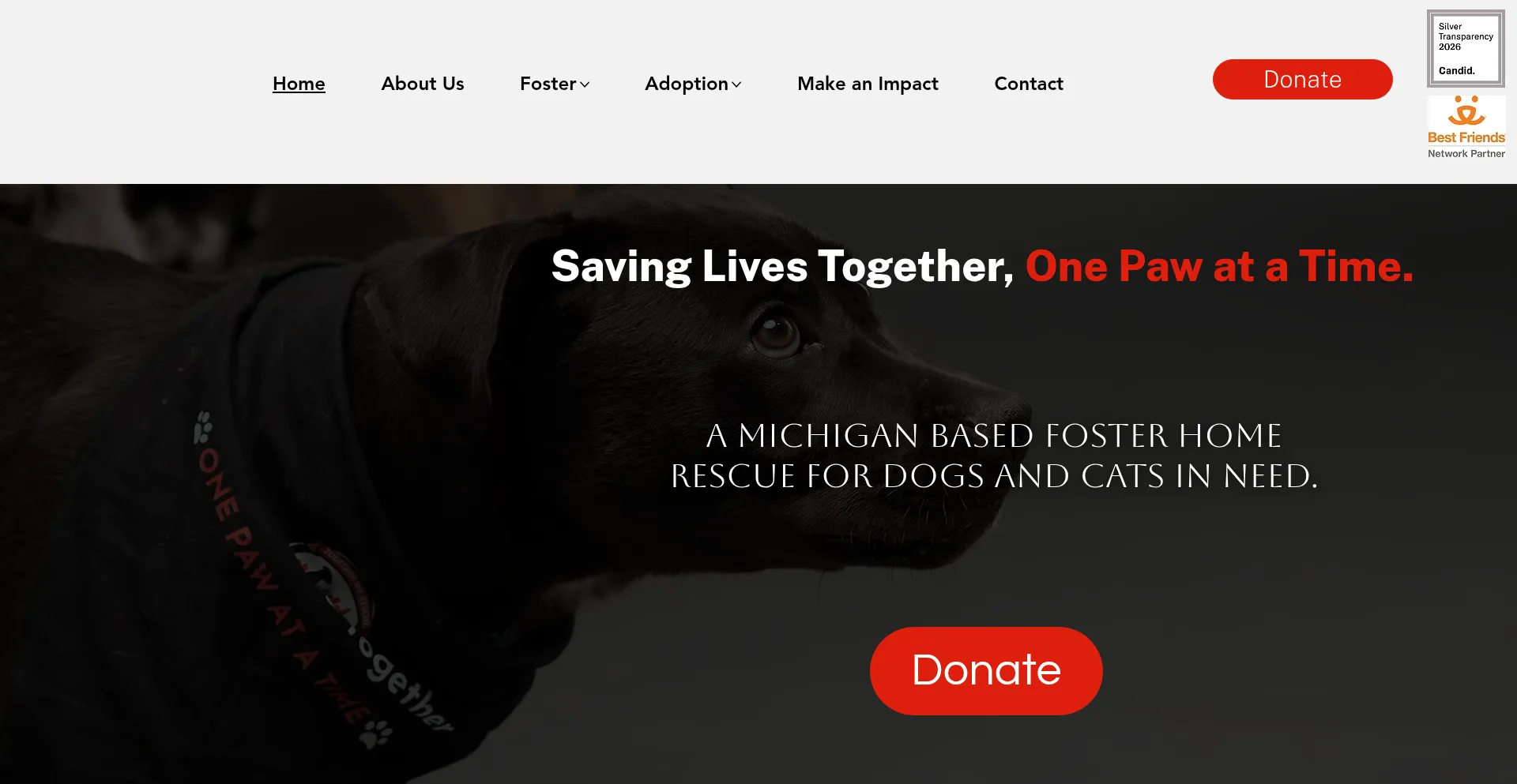 Rescuedetroitanimals.com