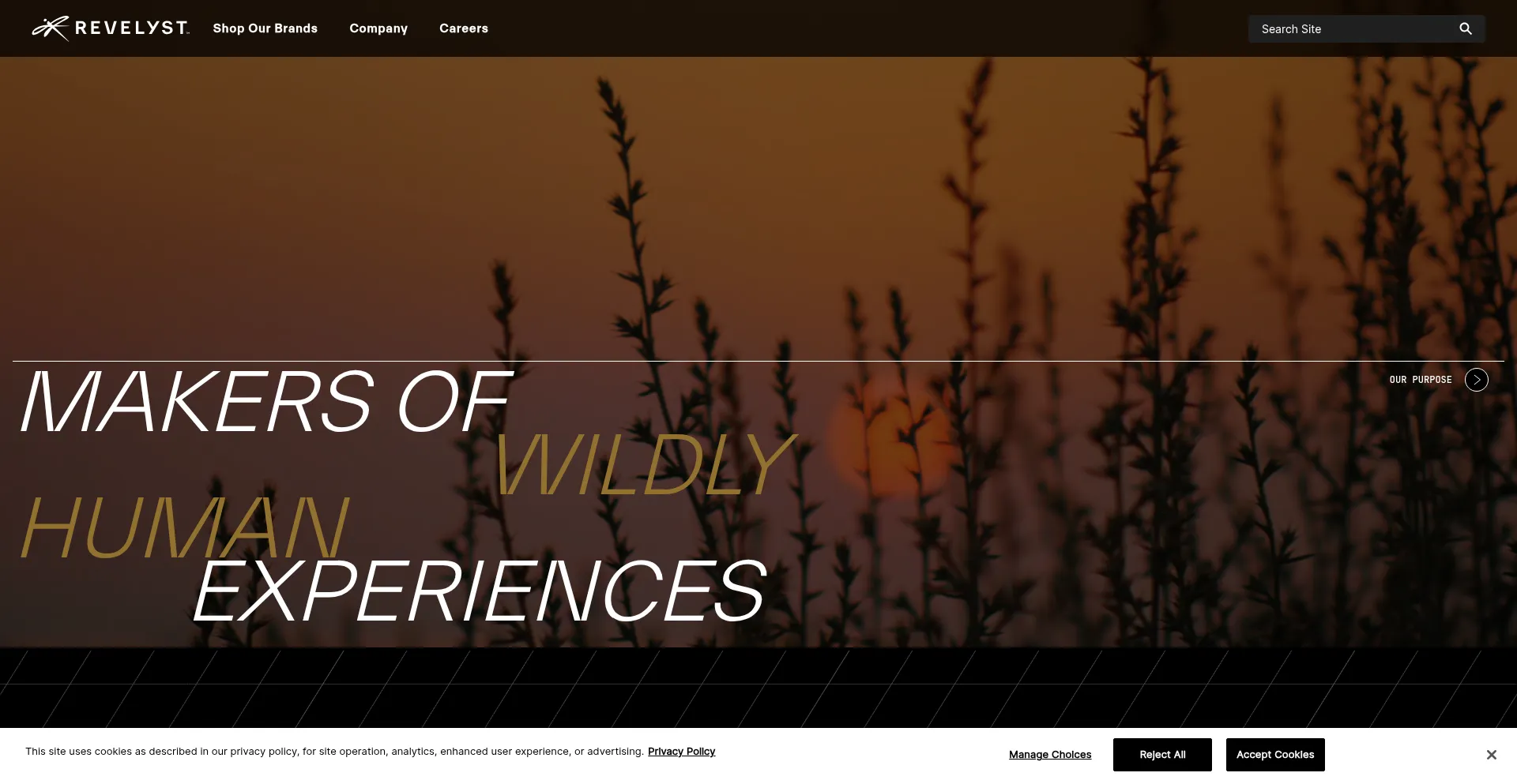 Website screenshot of Revelyst.com