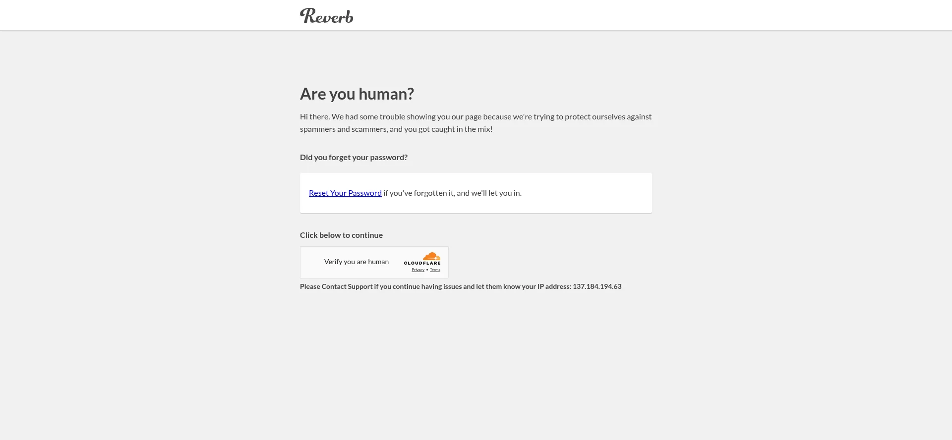 Website screenshot of Reverb.com