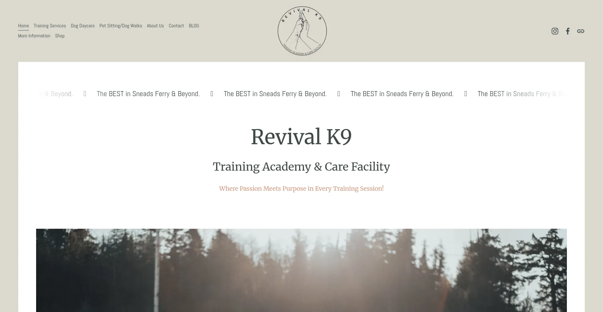 Website screenshot of Revivalk9.com