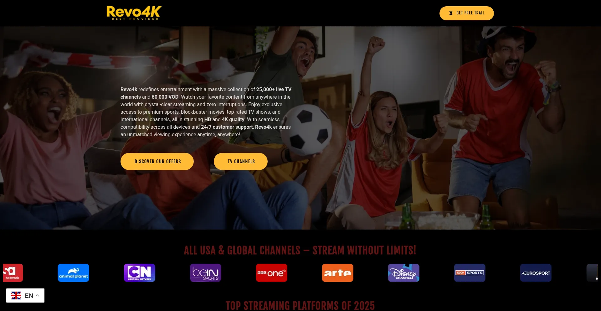 Website screenshot of Revo4k.com