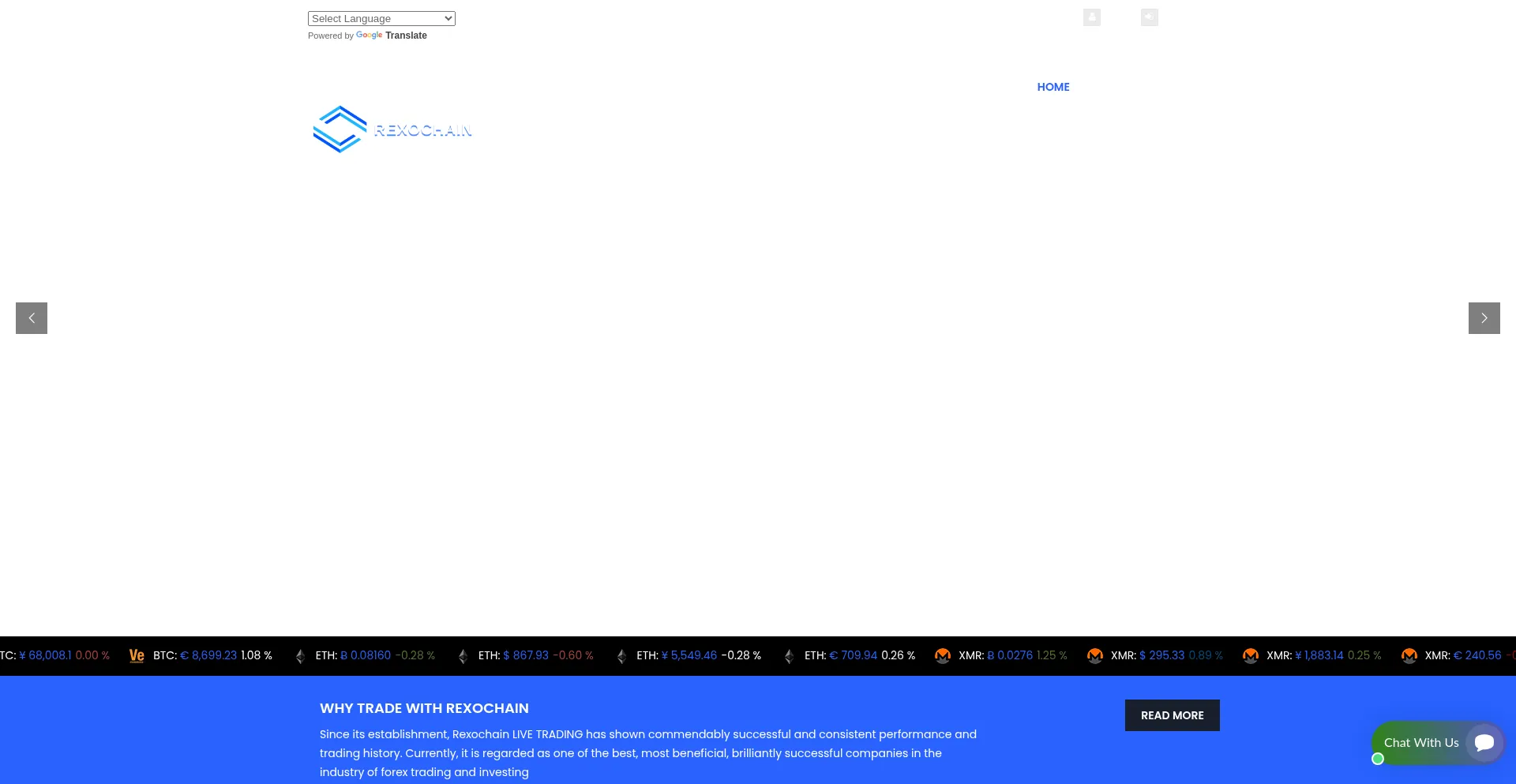 Website screenshot of Rexochain.org