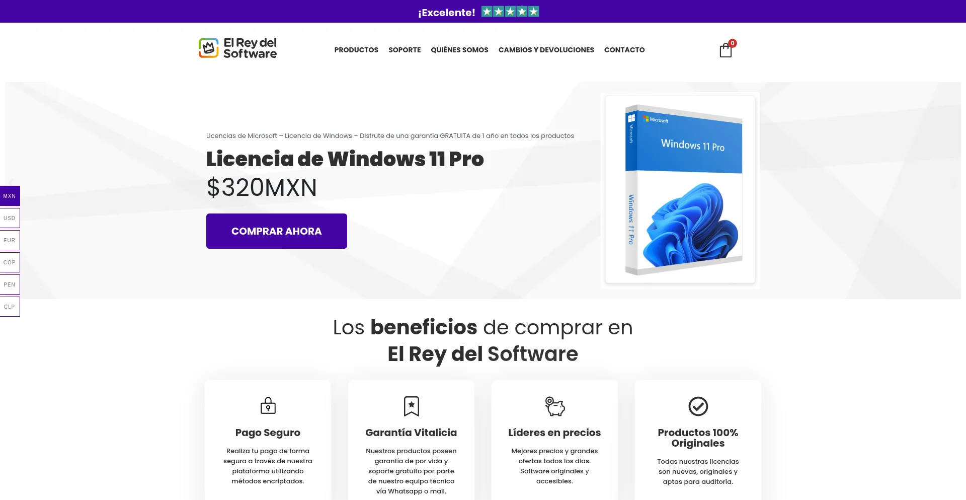 Reydelsoftware.com