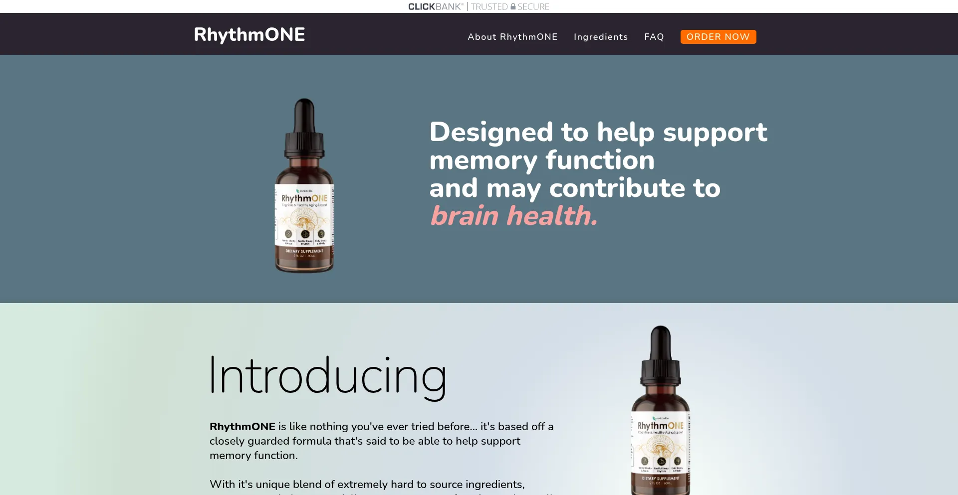 Rhythmoneprotocol.com