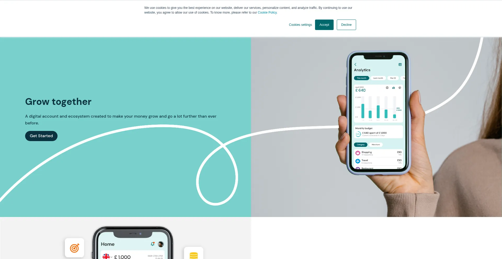 Website screenshot of Ribbonglobal.com