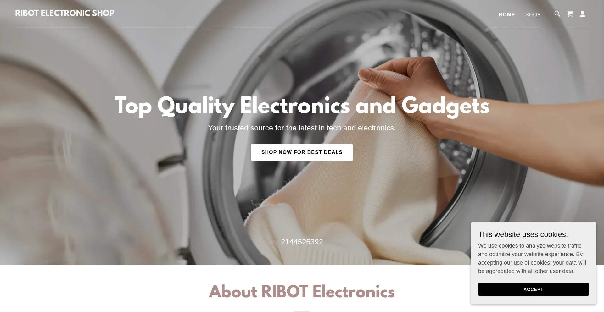 Website screenshot of Ribotenterprises.com