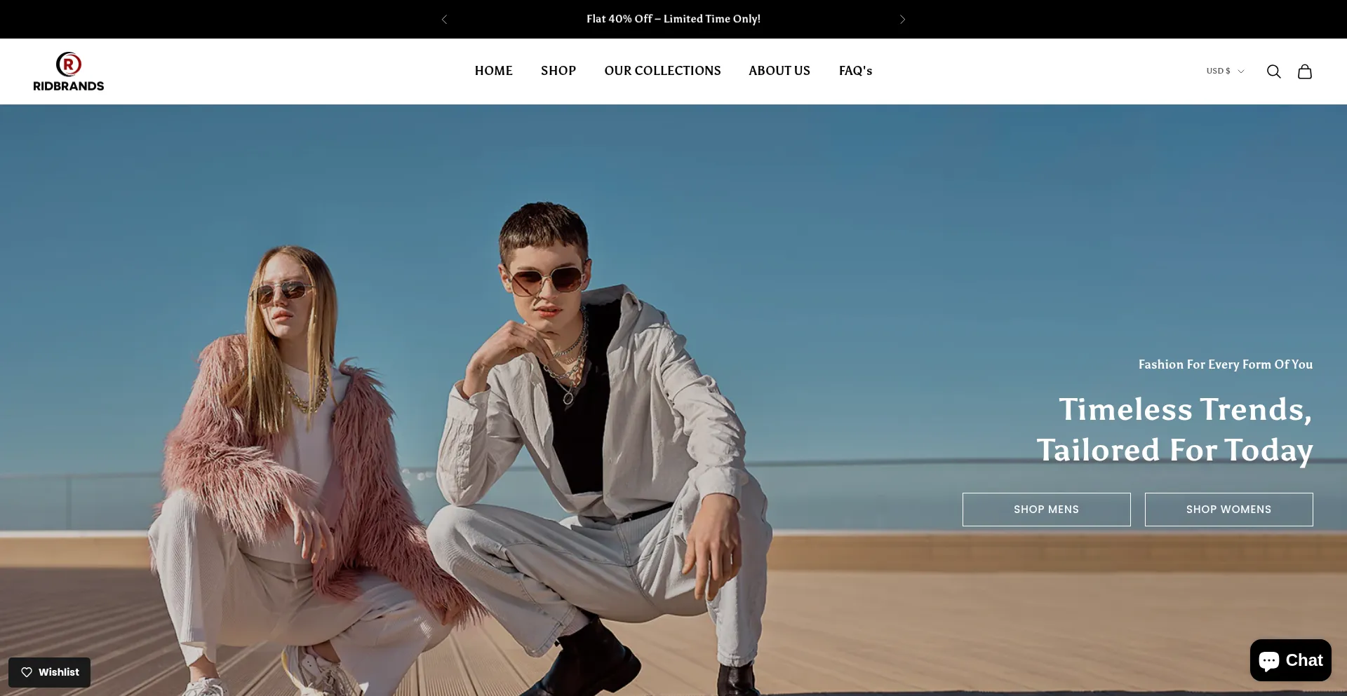 Website screenshot of Ridbrands.com