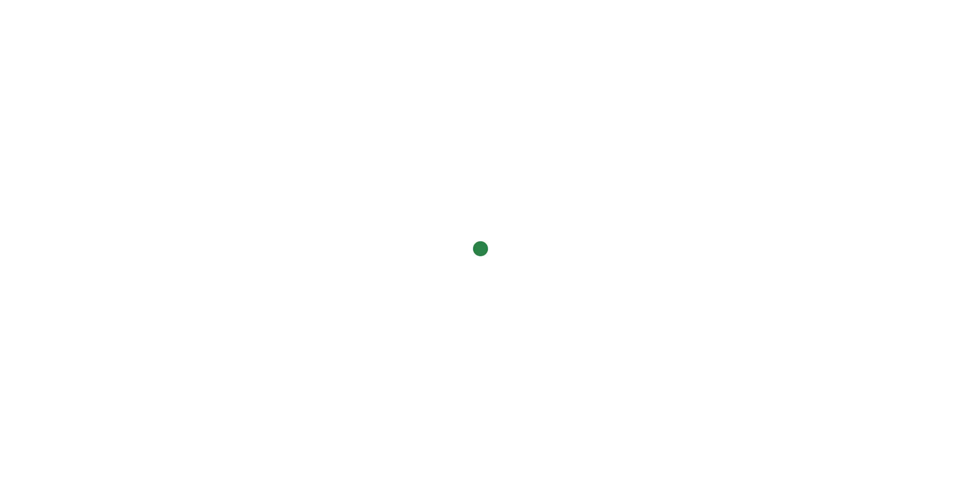 Risingpro.de