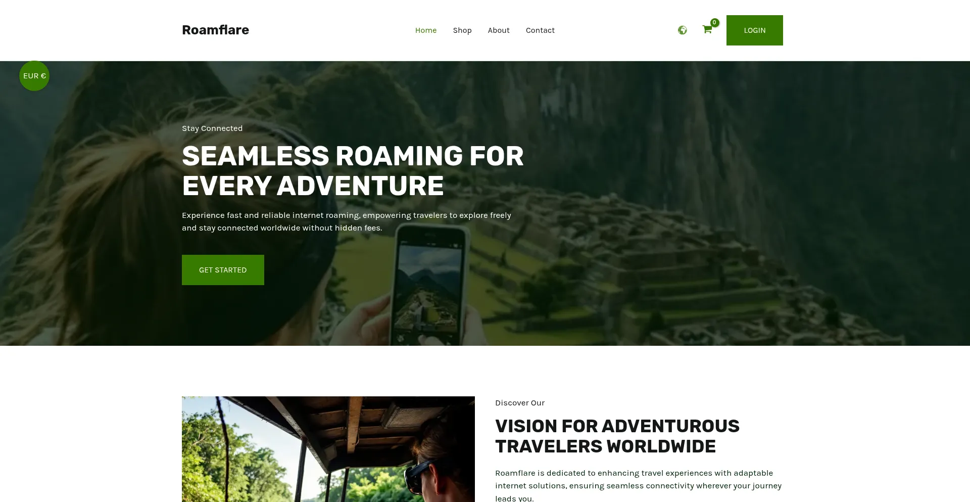 Website screenshot of Roamflare.com