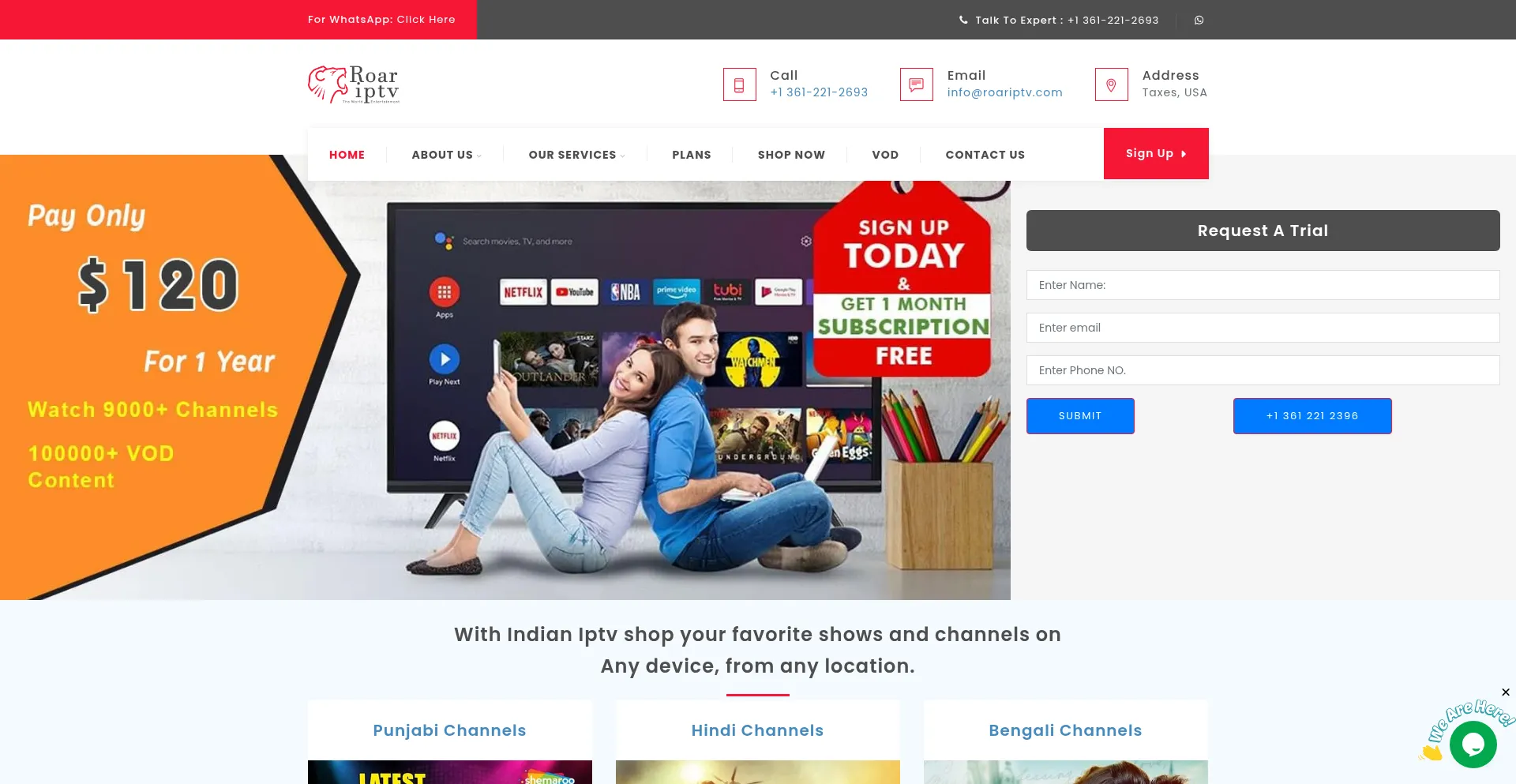 Website screenshot of Roariptv.com