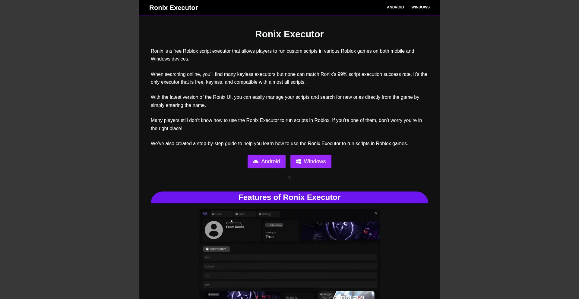 Website screenshot of Ronix-executor.com