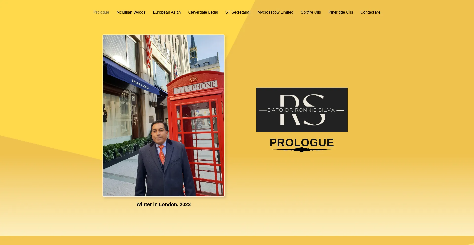 Website screenshot of Ronniesilva.com