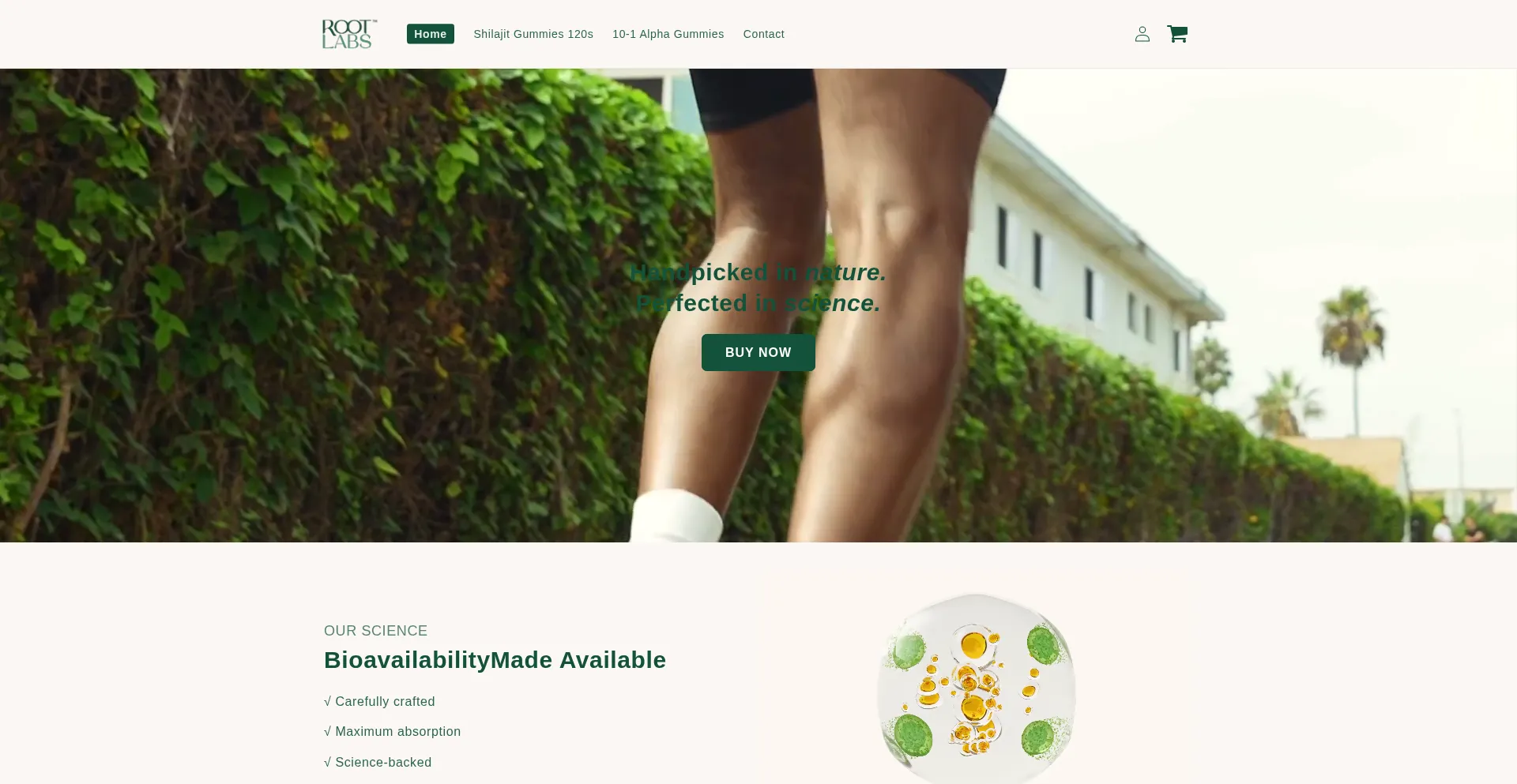 Rootblabs.store