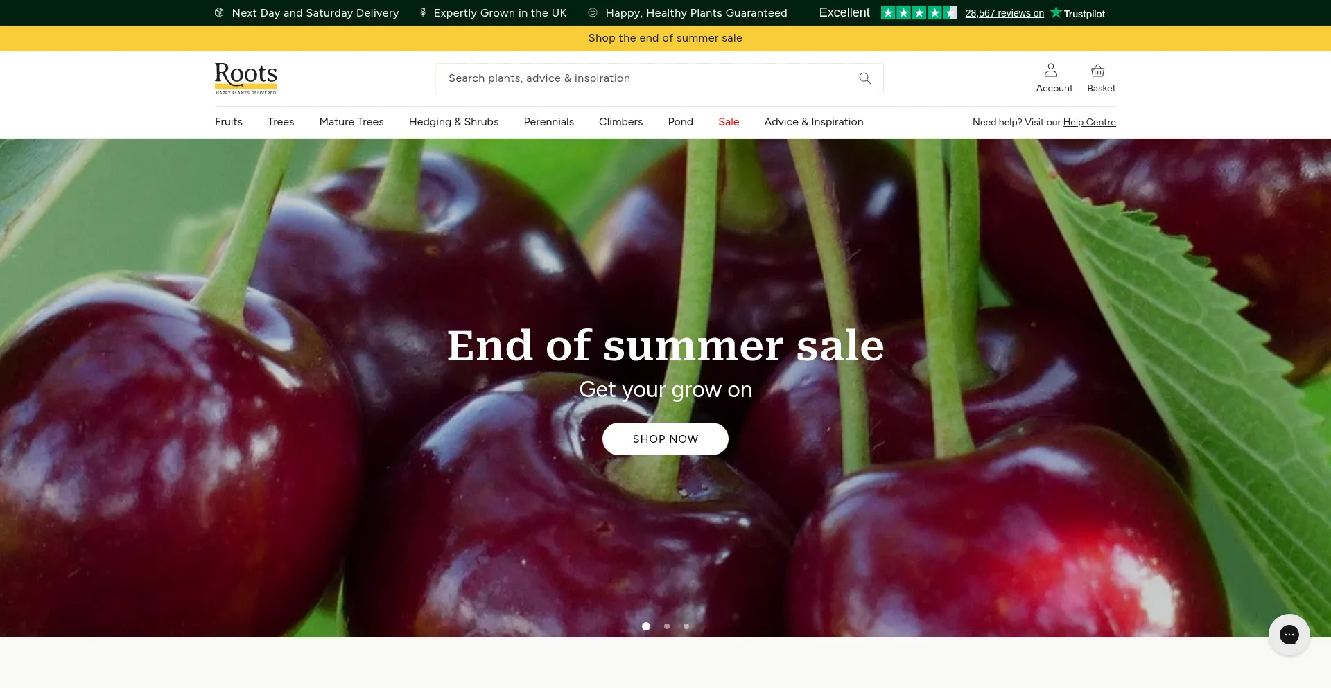 Rootsplants.co.uk