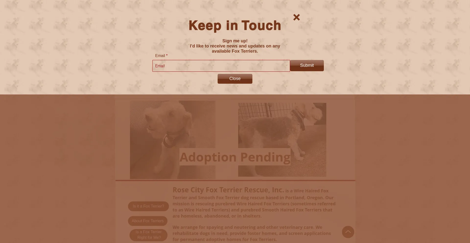 Website screenshot of Rosecityfoxterrierrescue.com