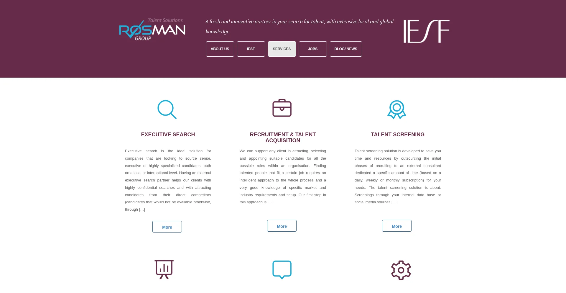 Website screenshot of Rosman-group.com