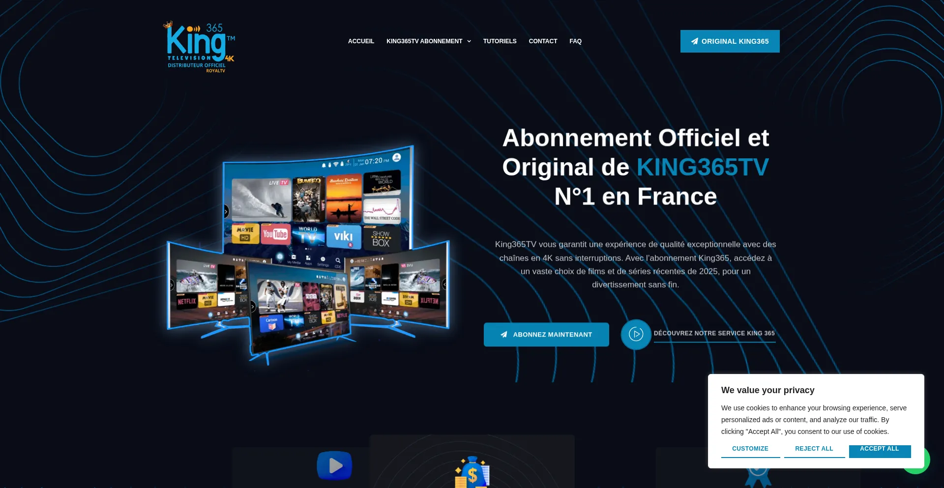 Website screenshot of Royaltv.fr