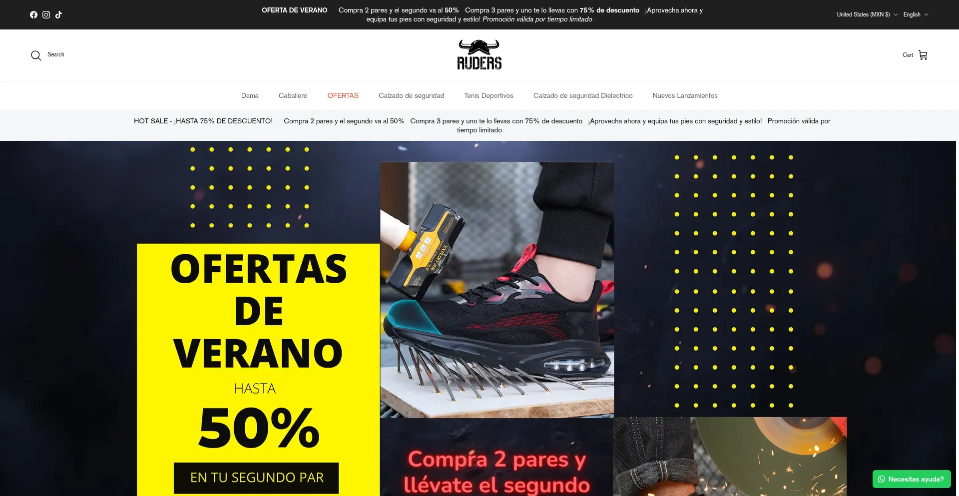 Website screenshot of Ruders.com.mx