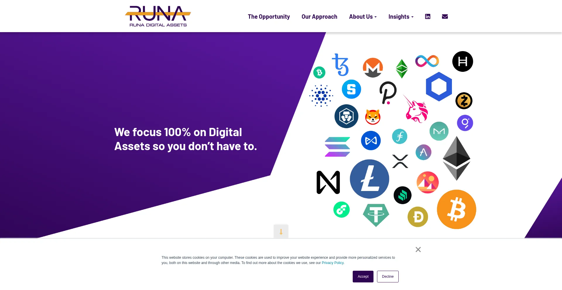 Website screenshot of Runadigitalassets.com