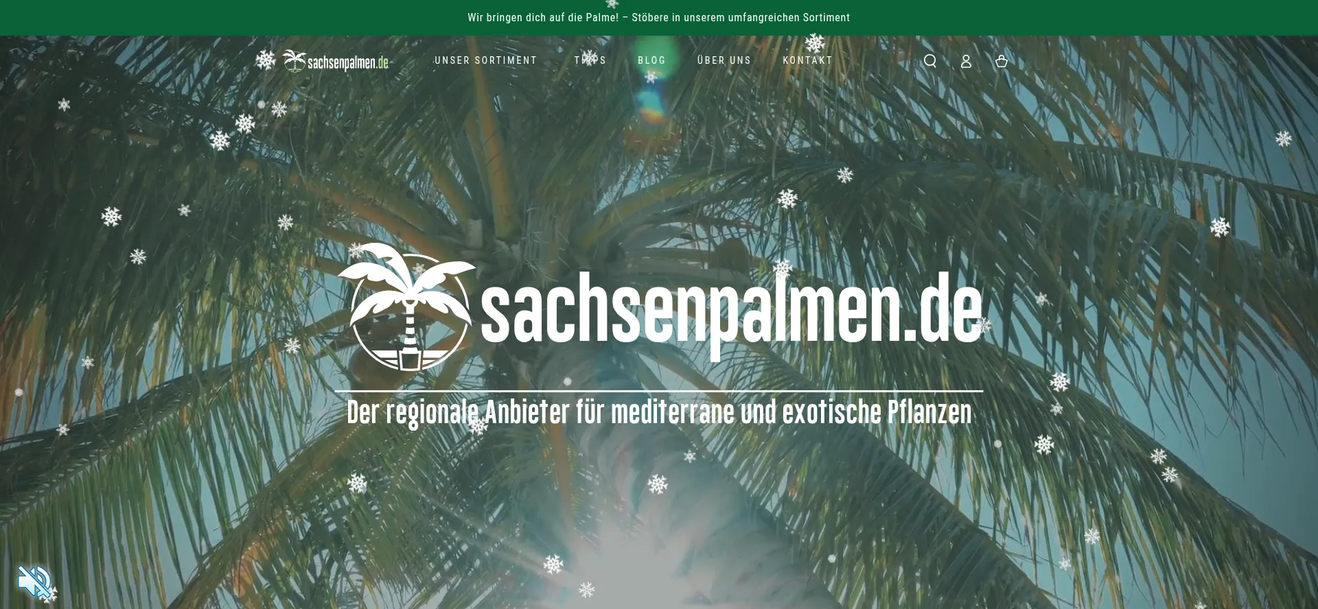 Sachsenpalmen.de