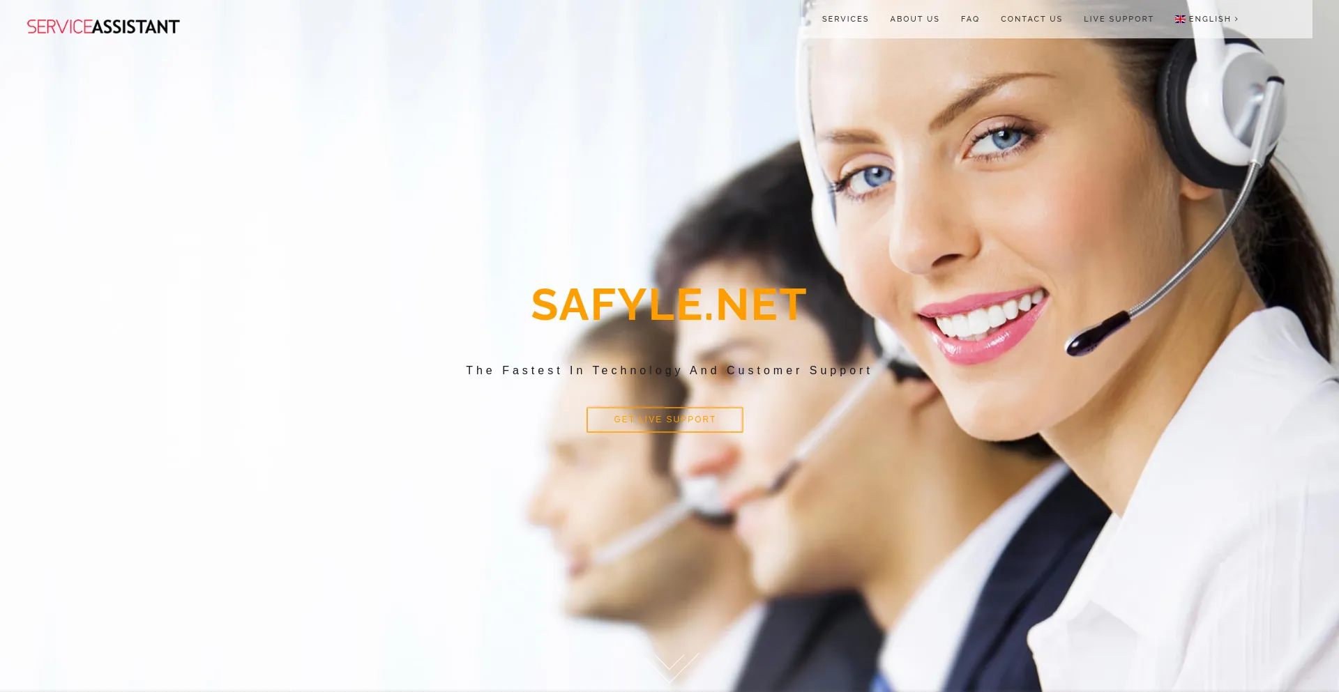 Website screenshot of Safyle.net