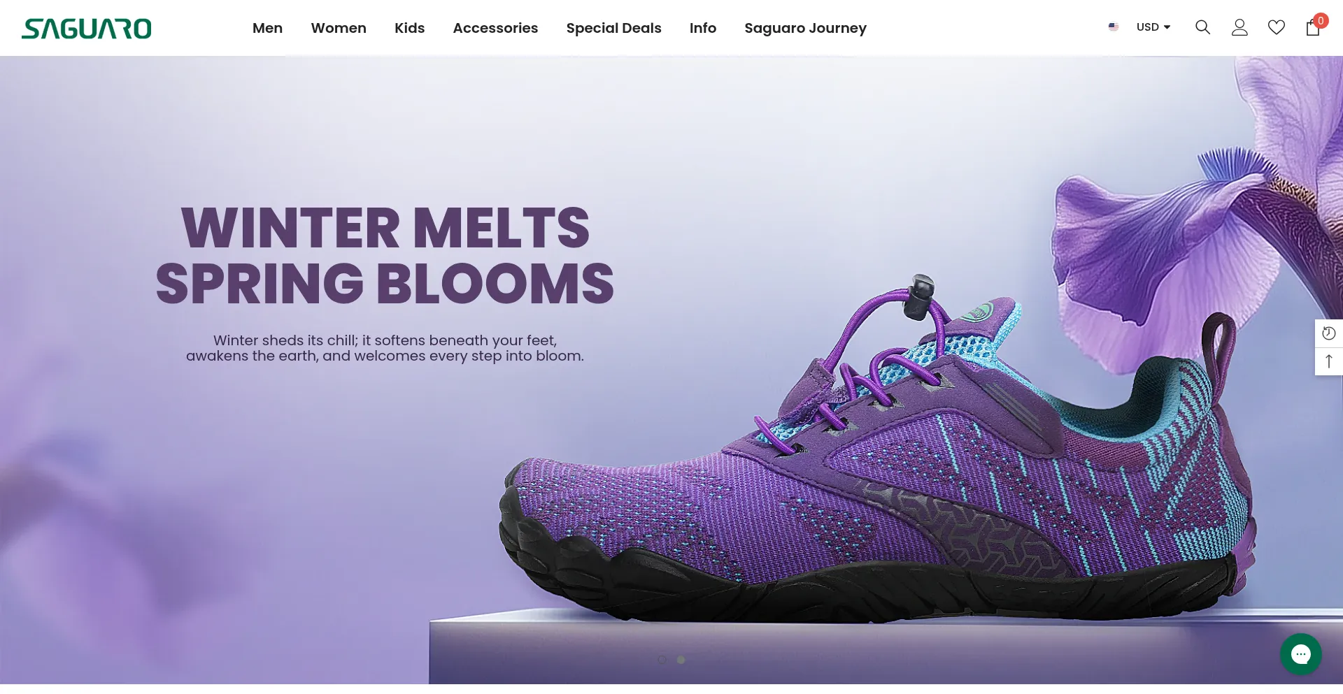 Website screenshot of Saguaro.com