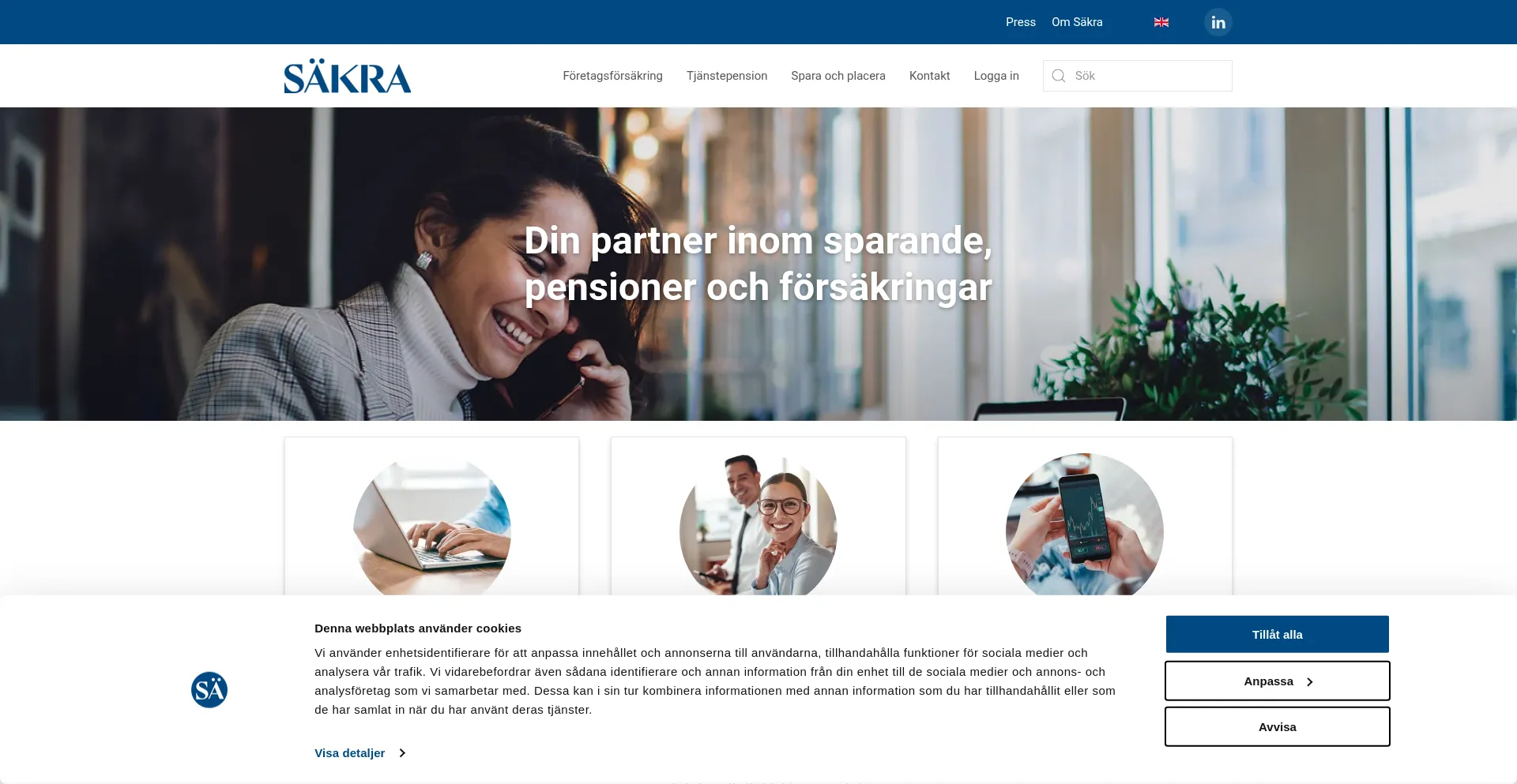 Website screenshot of Sakra.se