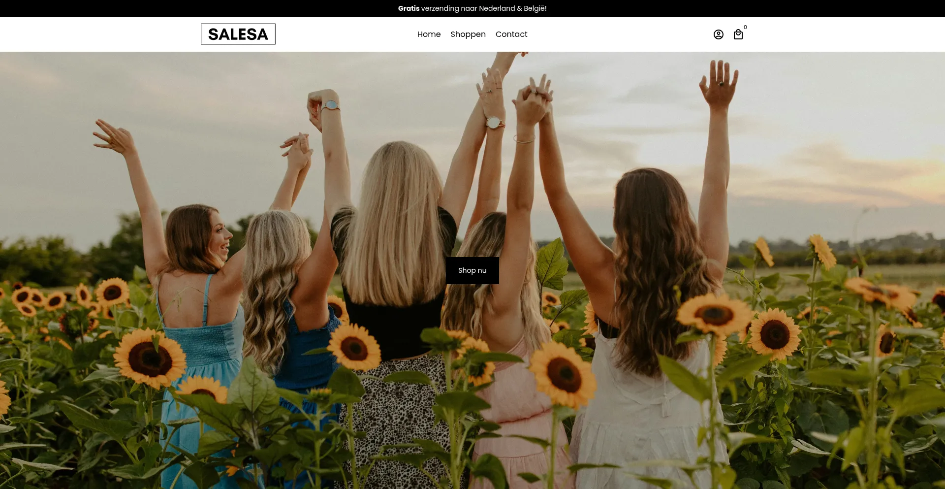 Website screenshot of Salesa.nl