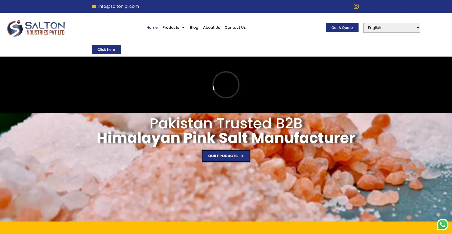 Saltonipl.com