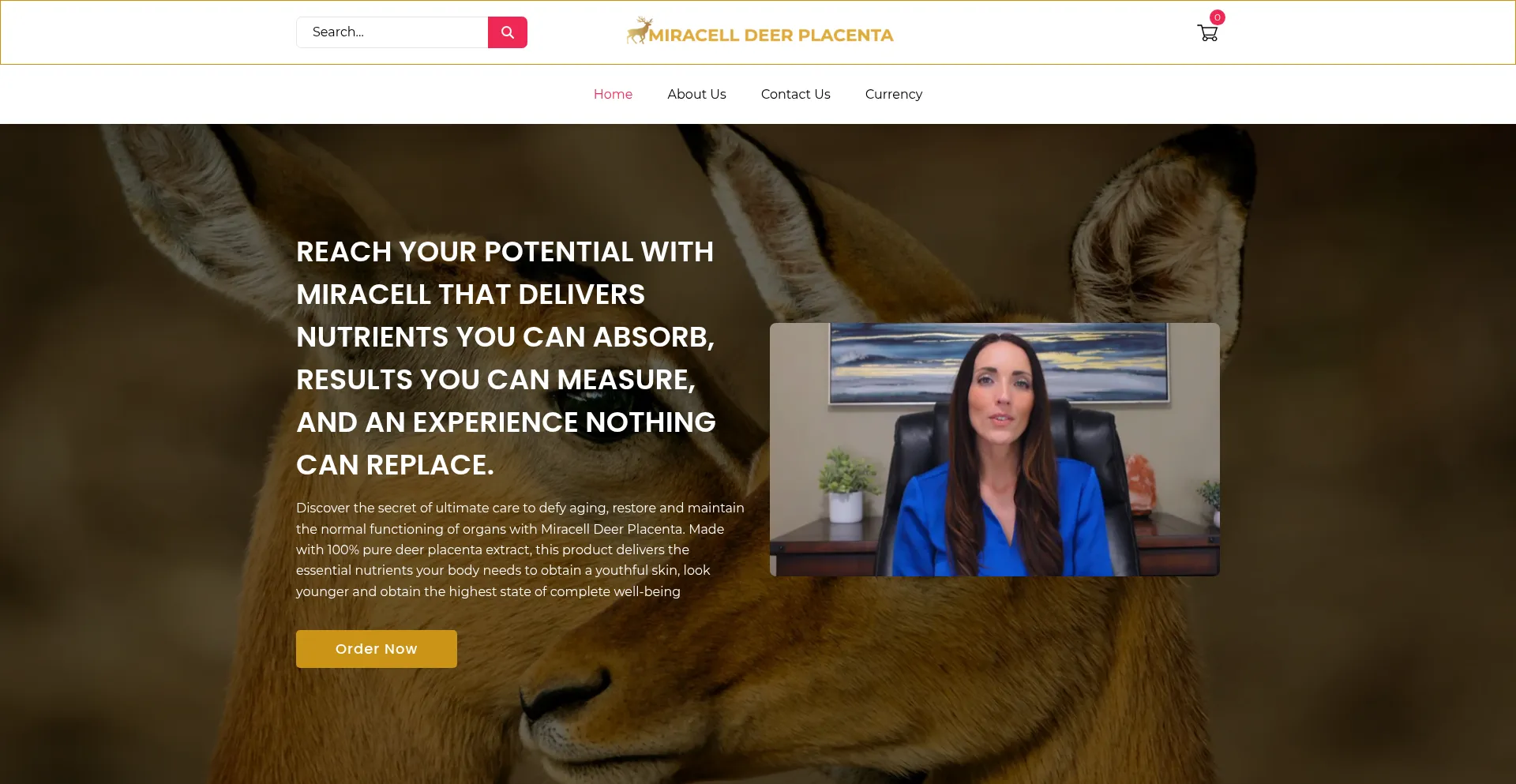 Website screenshot of Samsiainternational.com