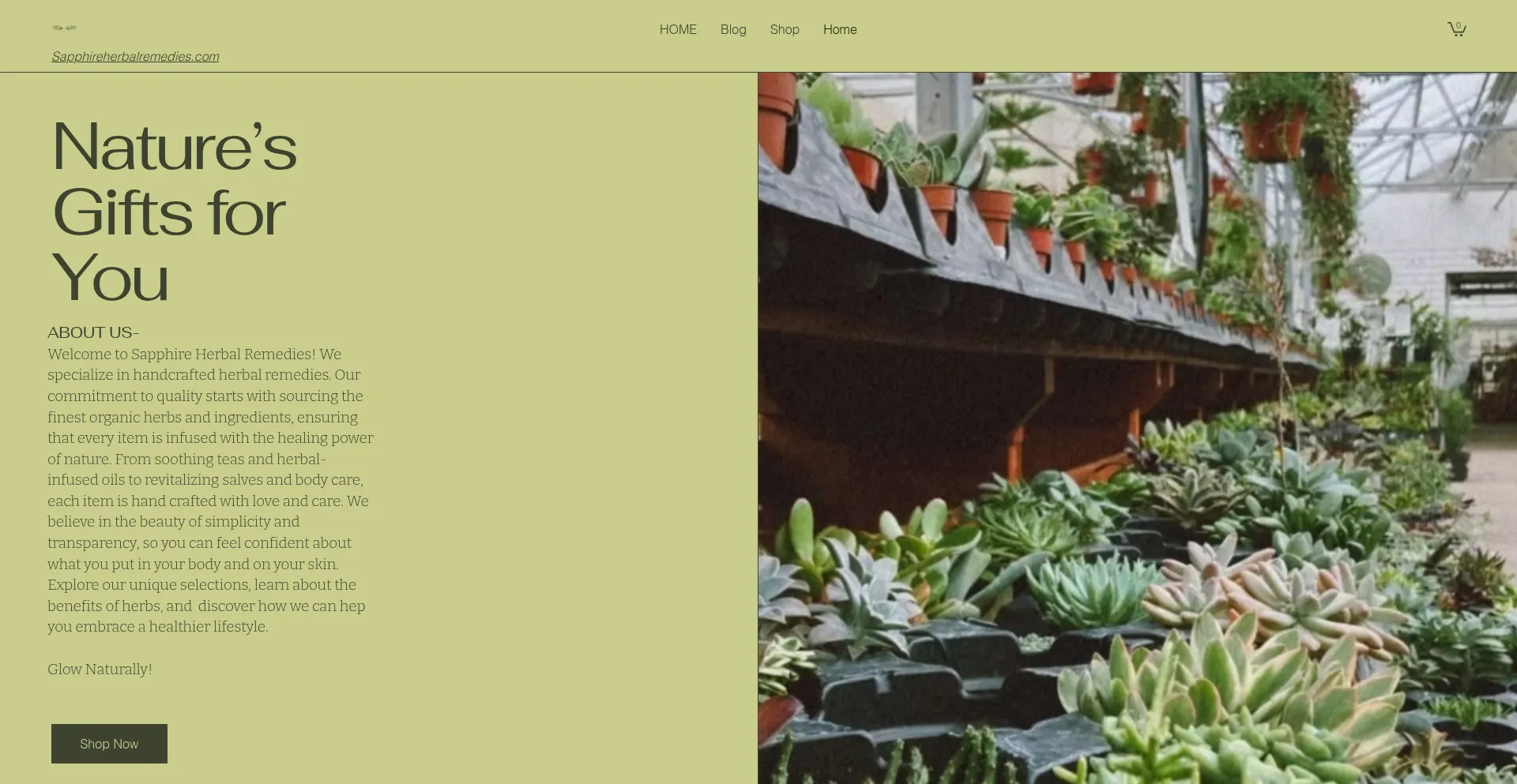 Website screenshot of Sapphireremedies.com