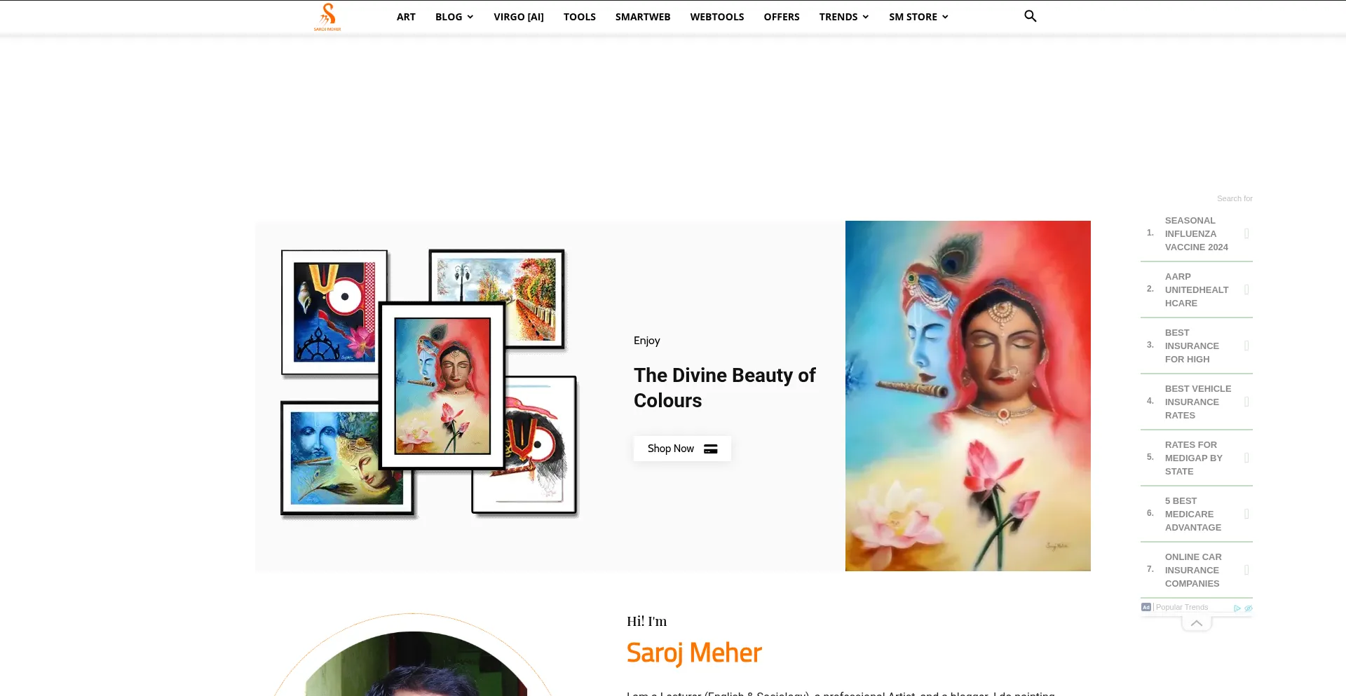 Website screenshot of Sarojmeher.com