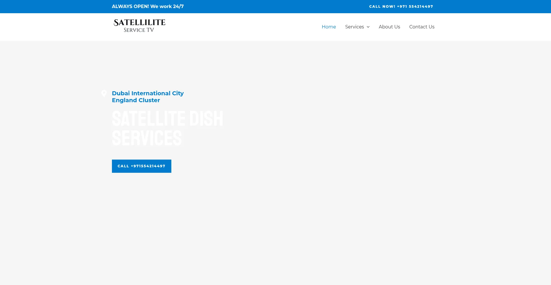Website screenshot of Satelliteservicetv.online