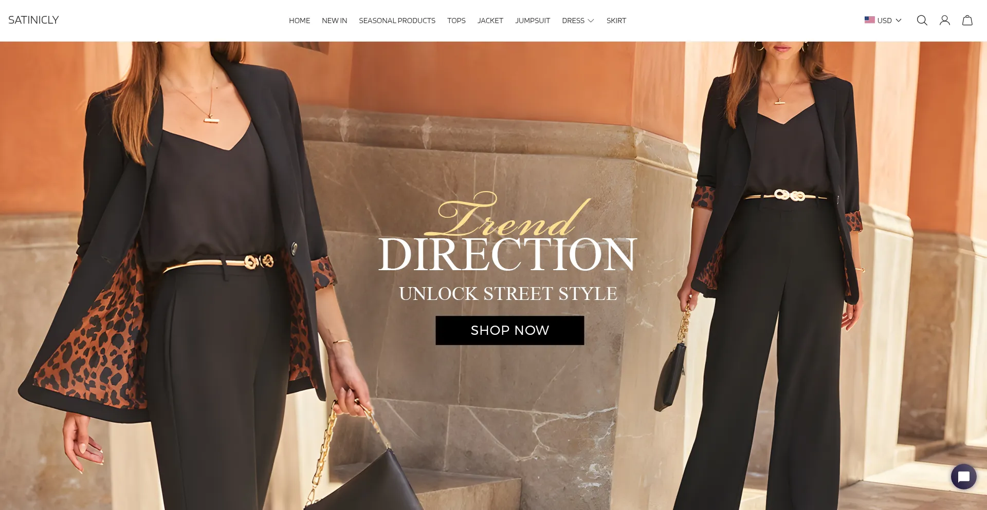 Website screenshot of Satinicly.com