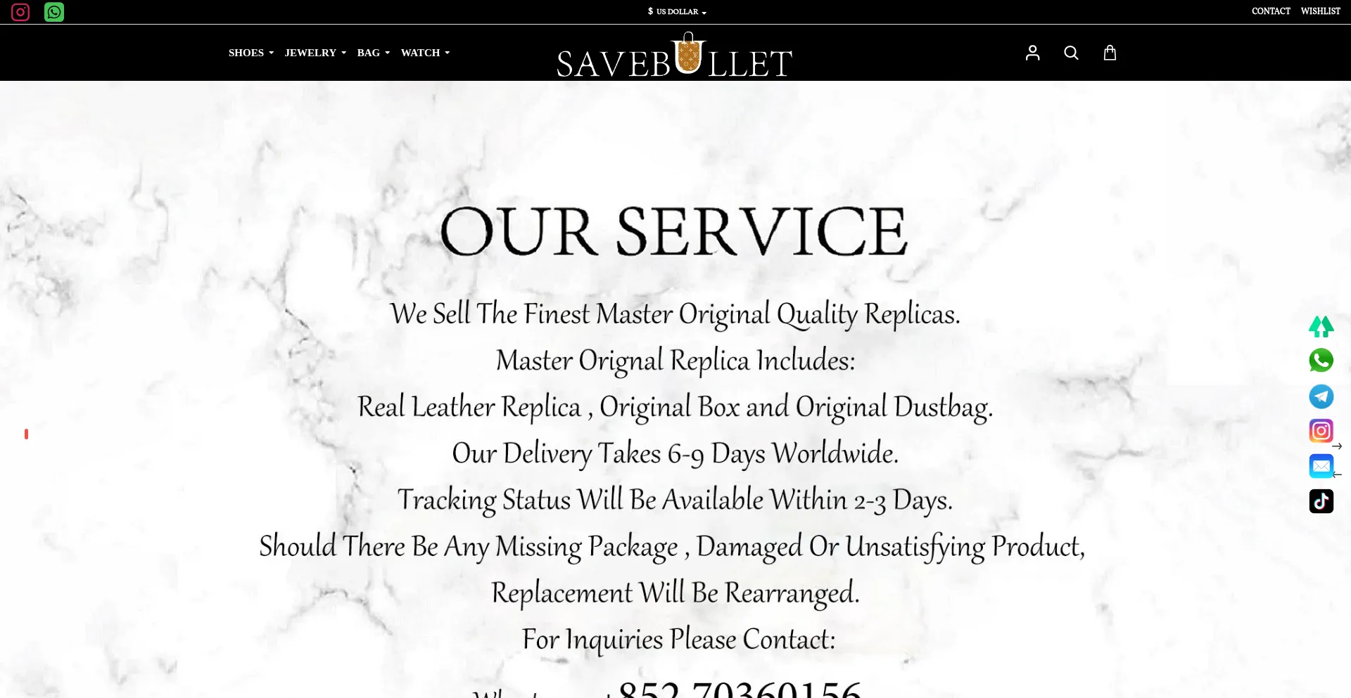 Website screenshot of Saveb.co