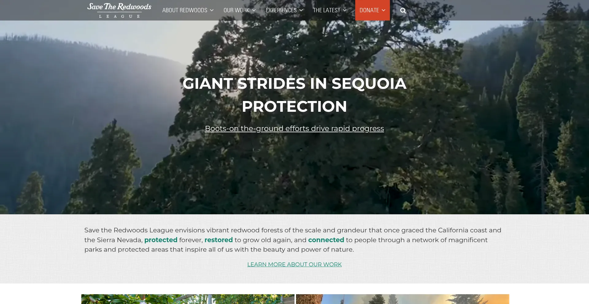 Website screenshot of Savetheredwoods.com
