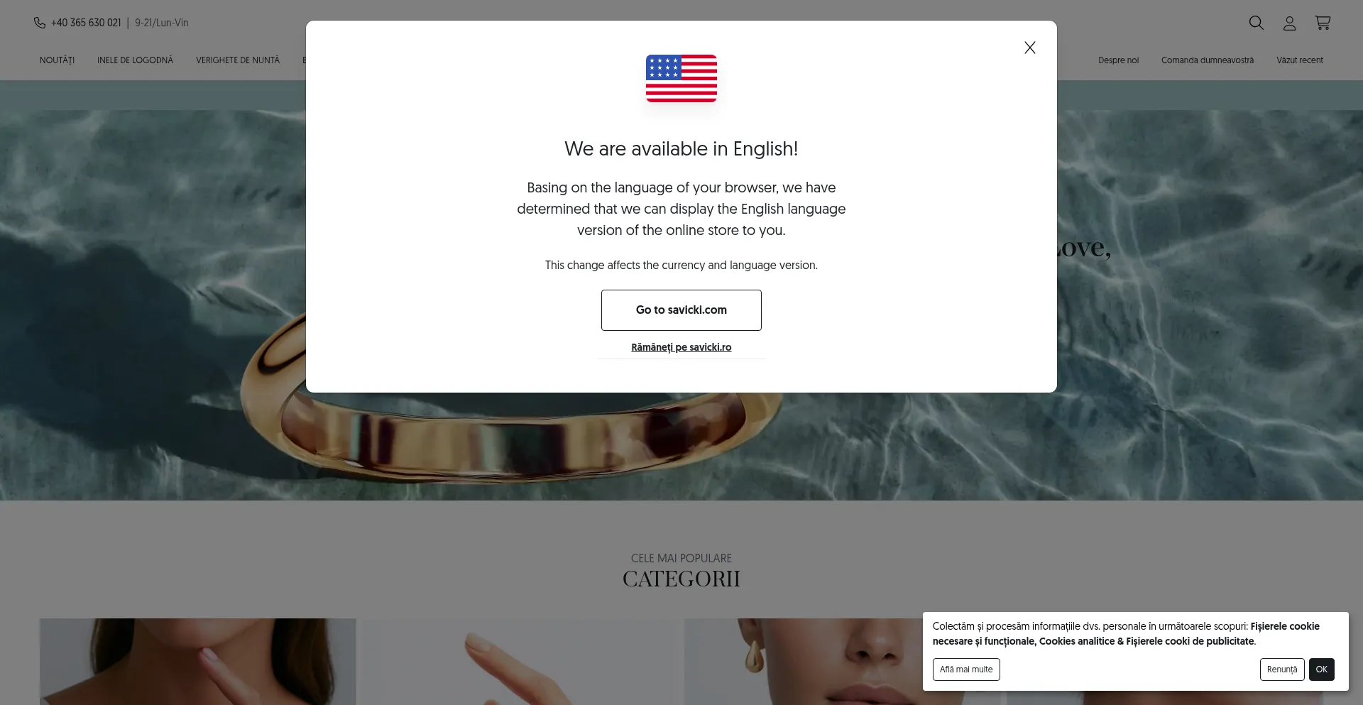 Website screenshot of Savicki.ro