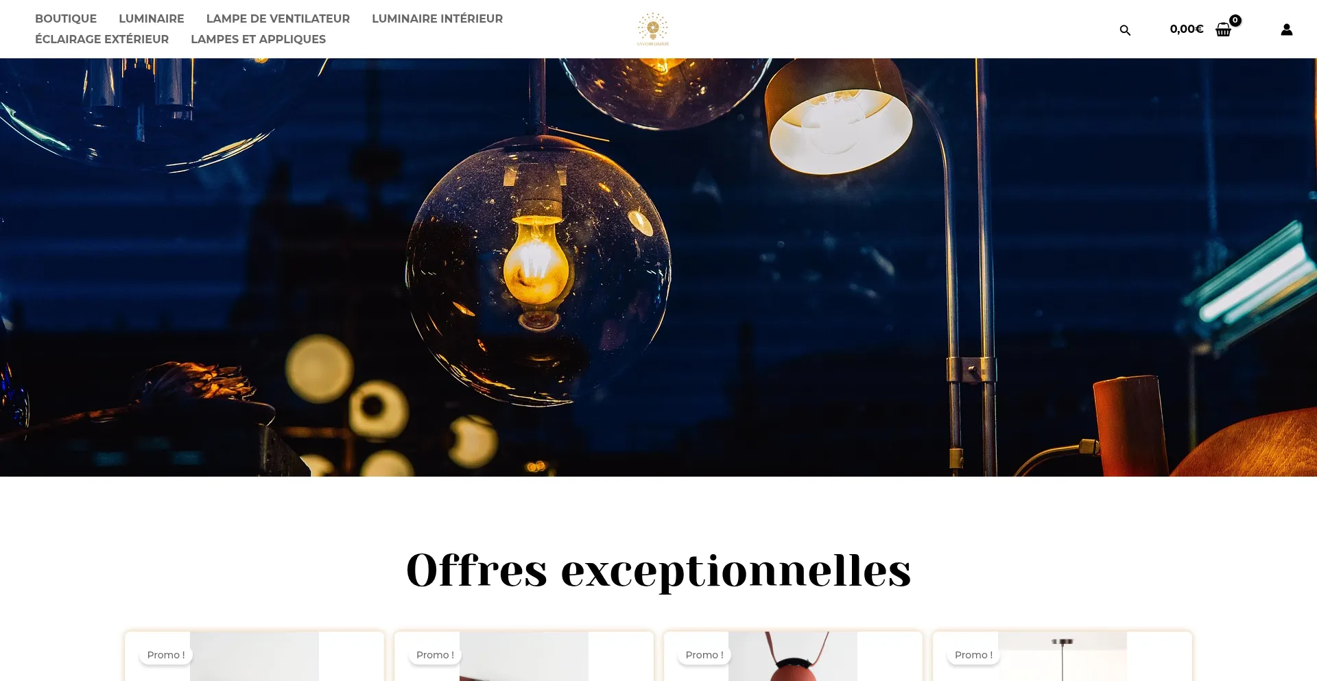 Savoirlumiere.com