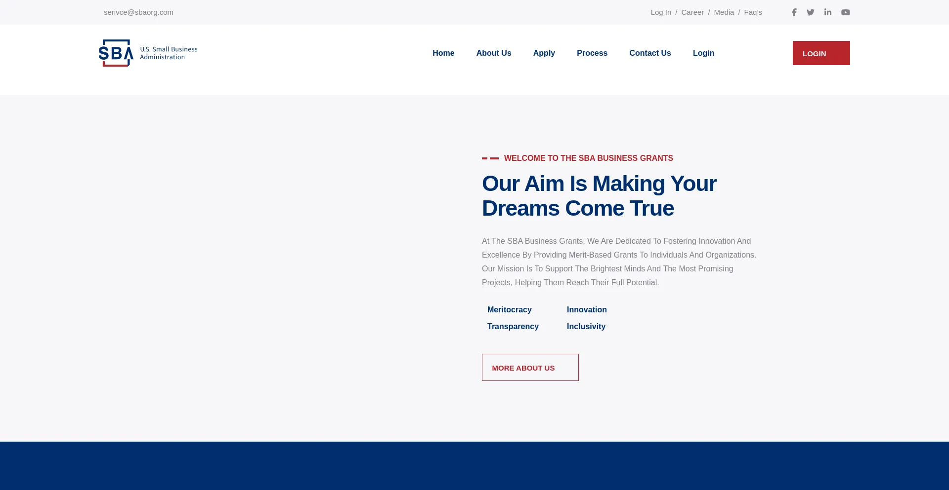 Sbaorg.com