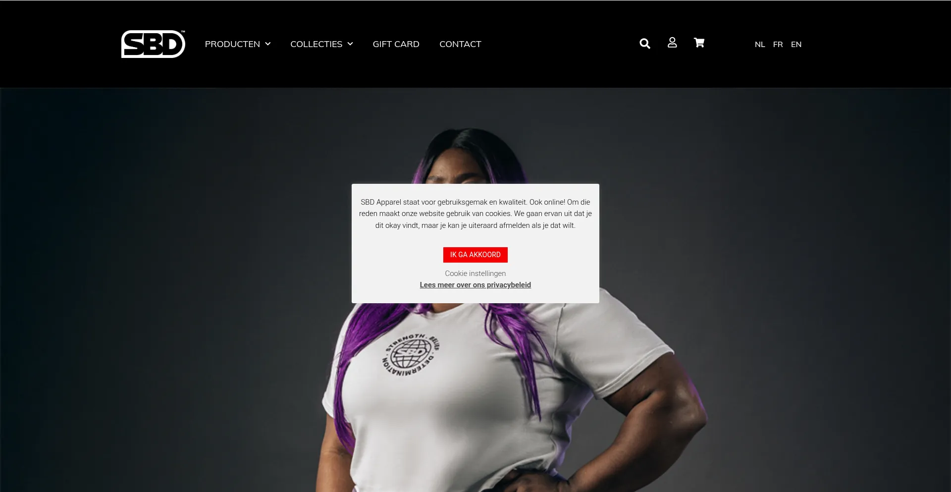 Website screenshot of Sbdbelgium.be