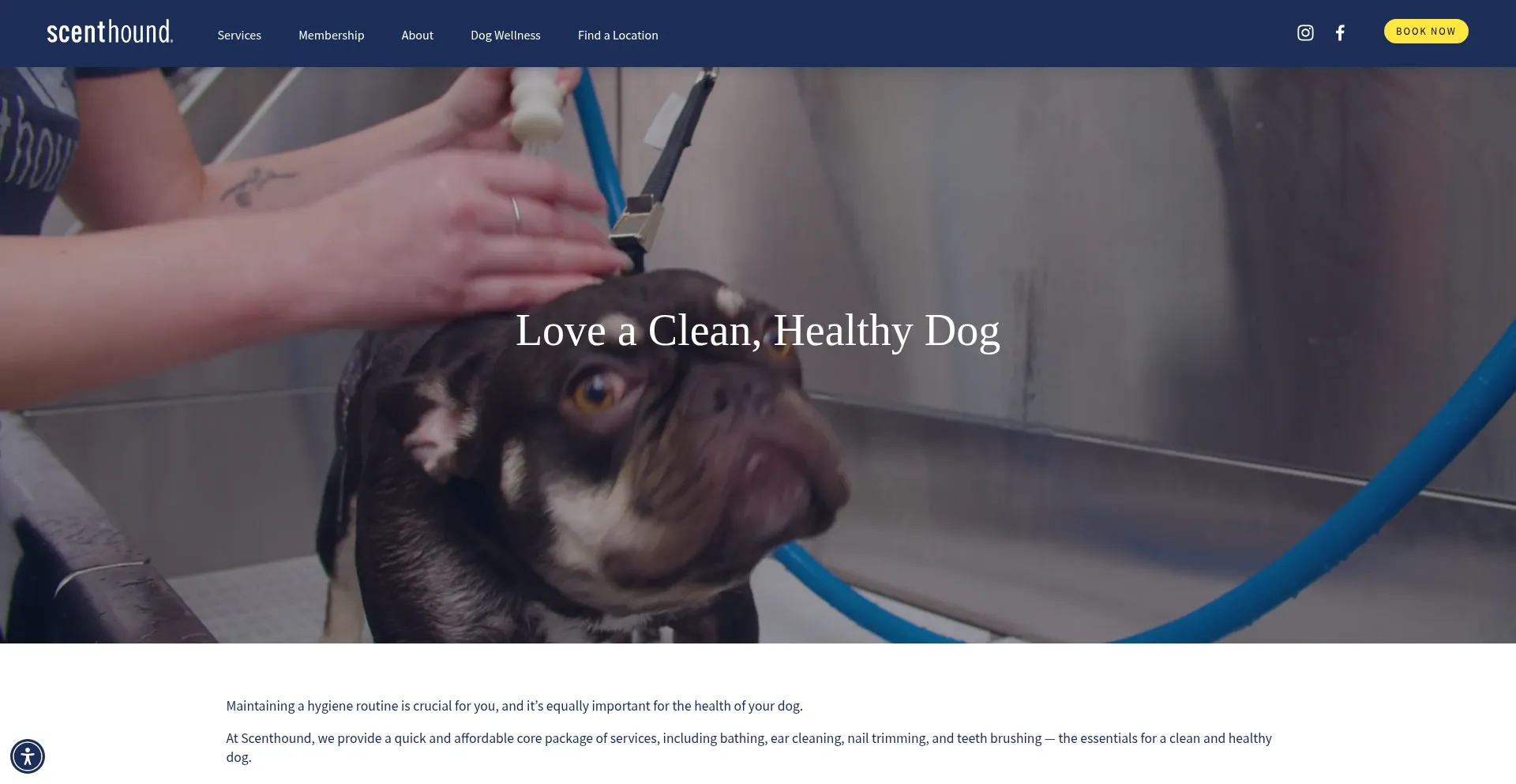 Scenthound.com