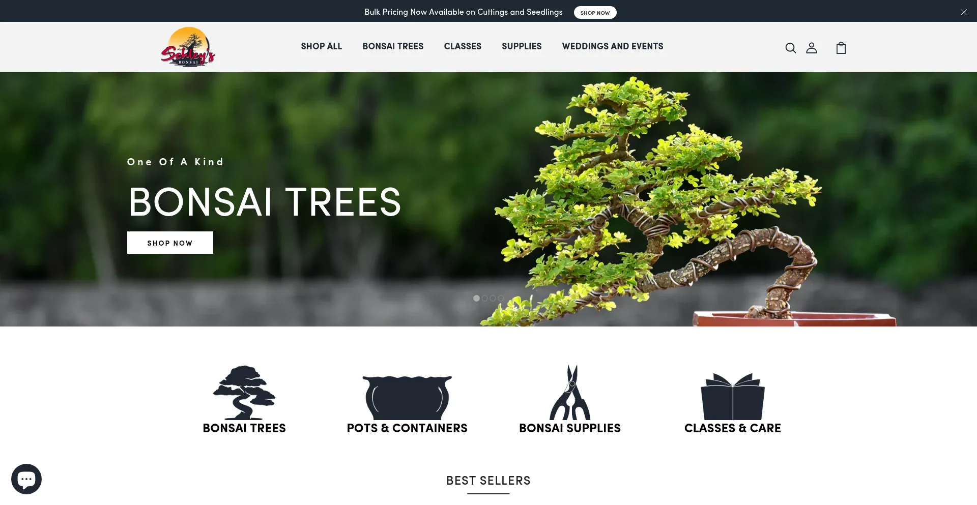 Website screenshot of Schleysbonsai.com