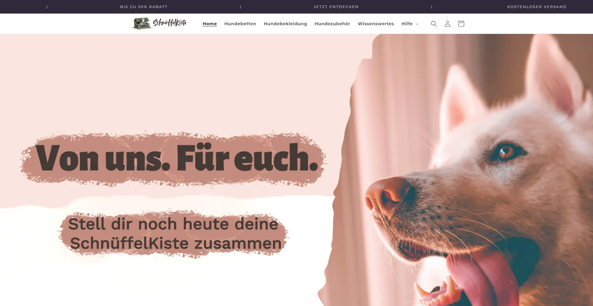 Website screenshot of Schnueffel-kiste.de