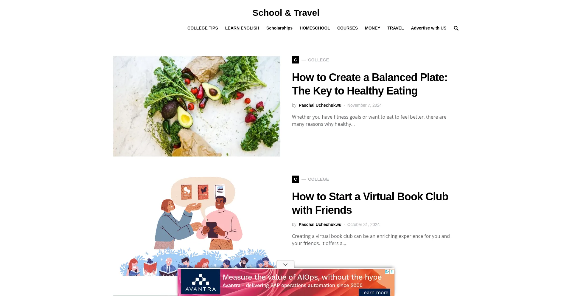 Website screenshot of Schoolandtravel.com