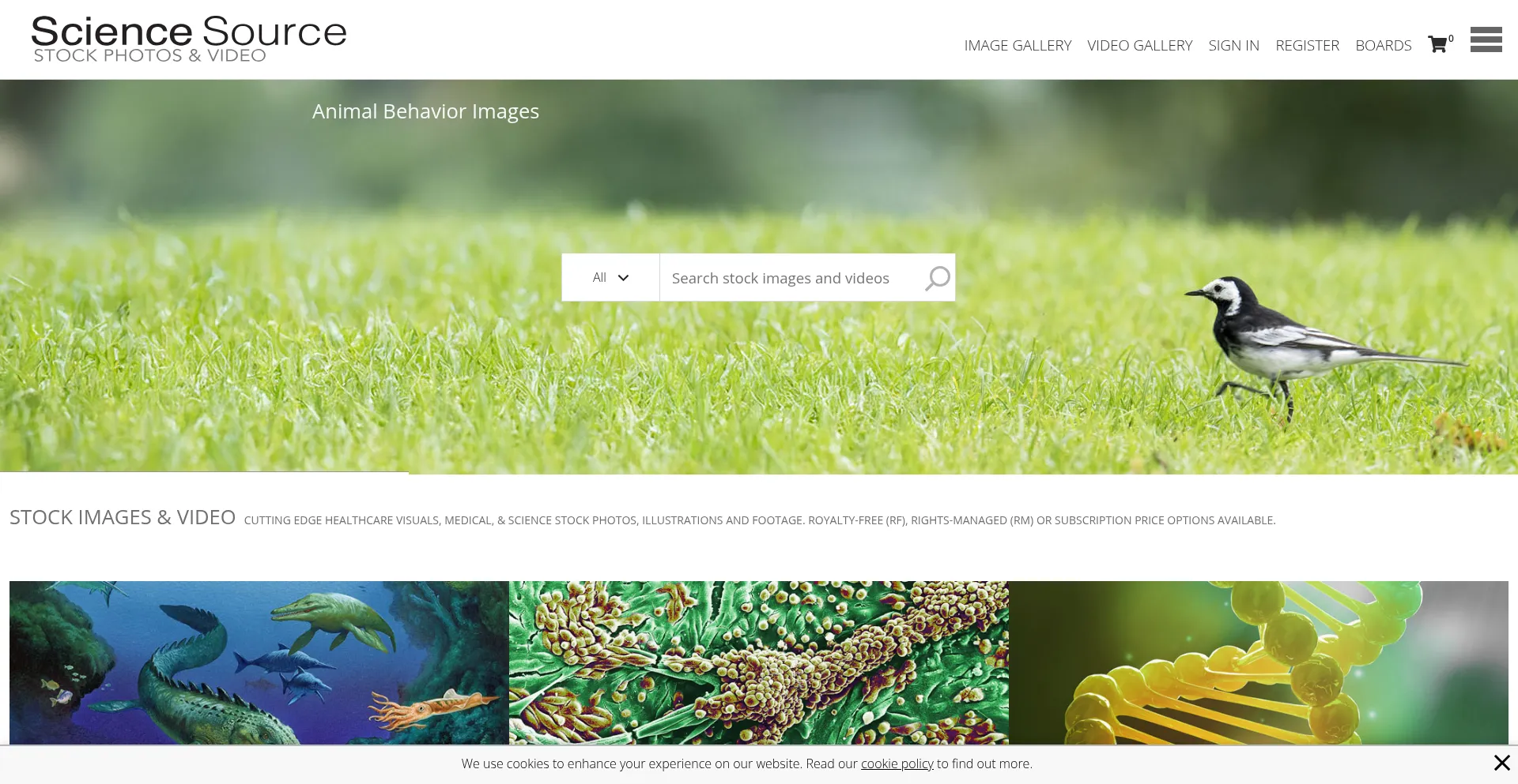 Website screenshot of Sciencesource.com
